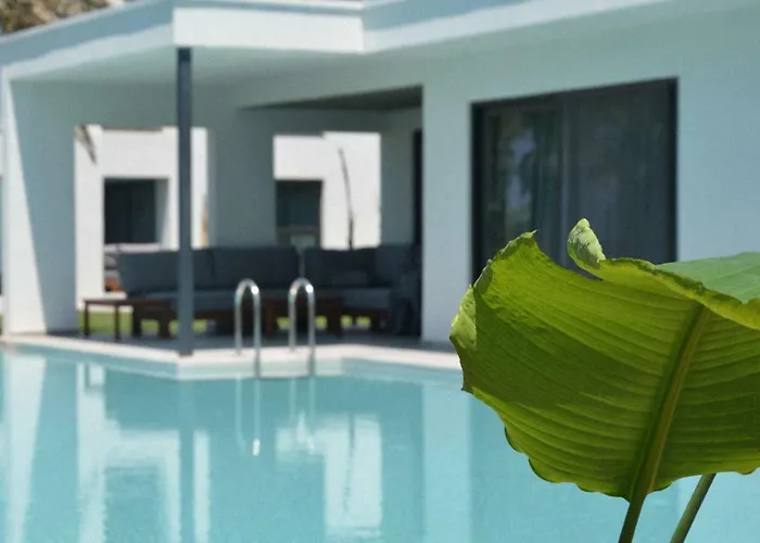 Paloma Finesse Hotel Sidé