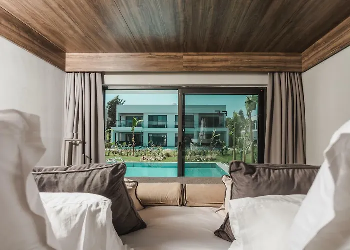 Paloma Finesse سيدي