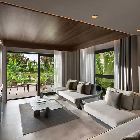 Paloma Finesse סייד