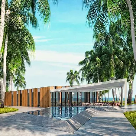 Paloma Finesse סייד