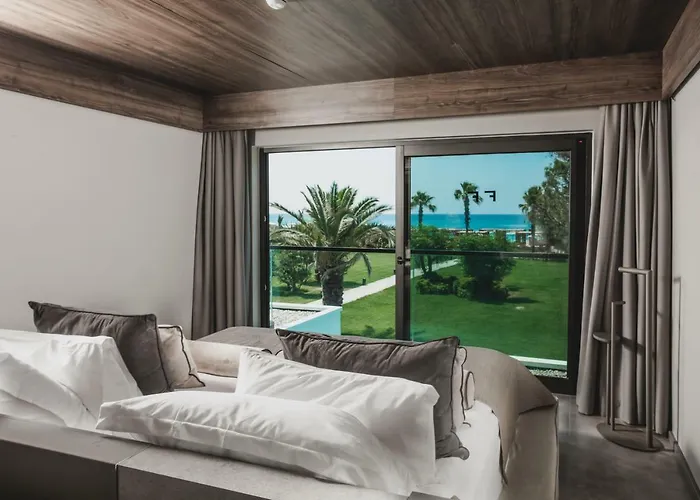 Paloma Finesse סייד